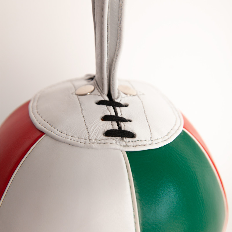 Punching Ball de Boxeo con tecnología SKB México | SHARK BOXING