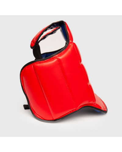 Peto Muay Thai Internacional