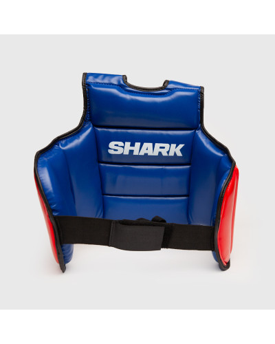 Peto Muay Thai Internacional